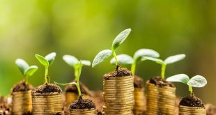 2 راه افزایش برکت در خانه