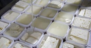 لبنیات غیر پاستوریزه